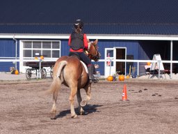 IMG_7120_web